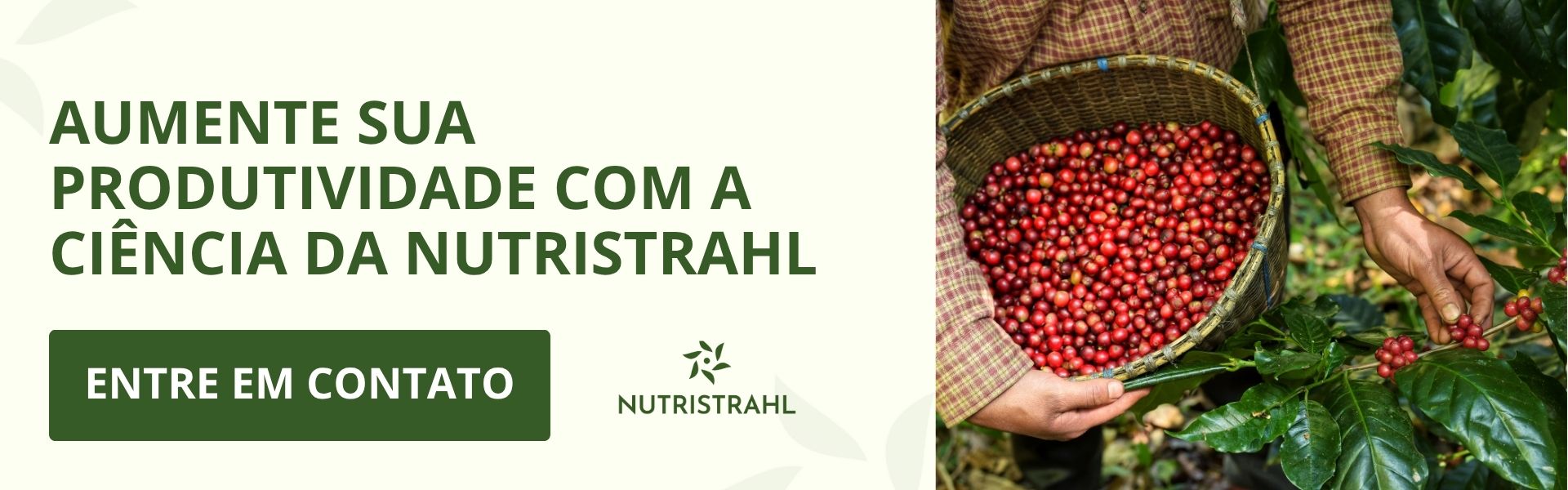 aumente sua produtividade com a ciência da Nutristrahl