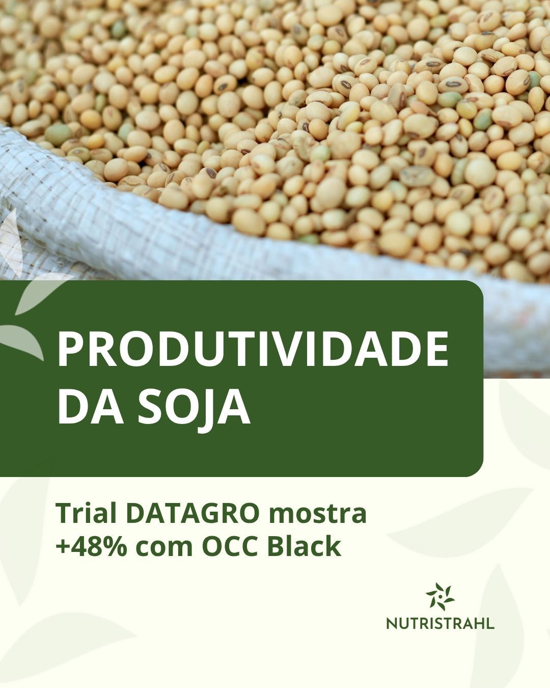 Produtividade da soja