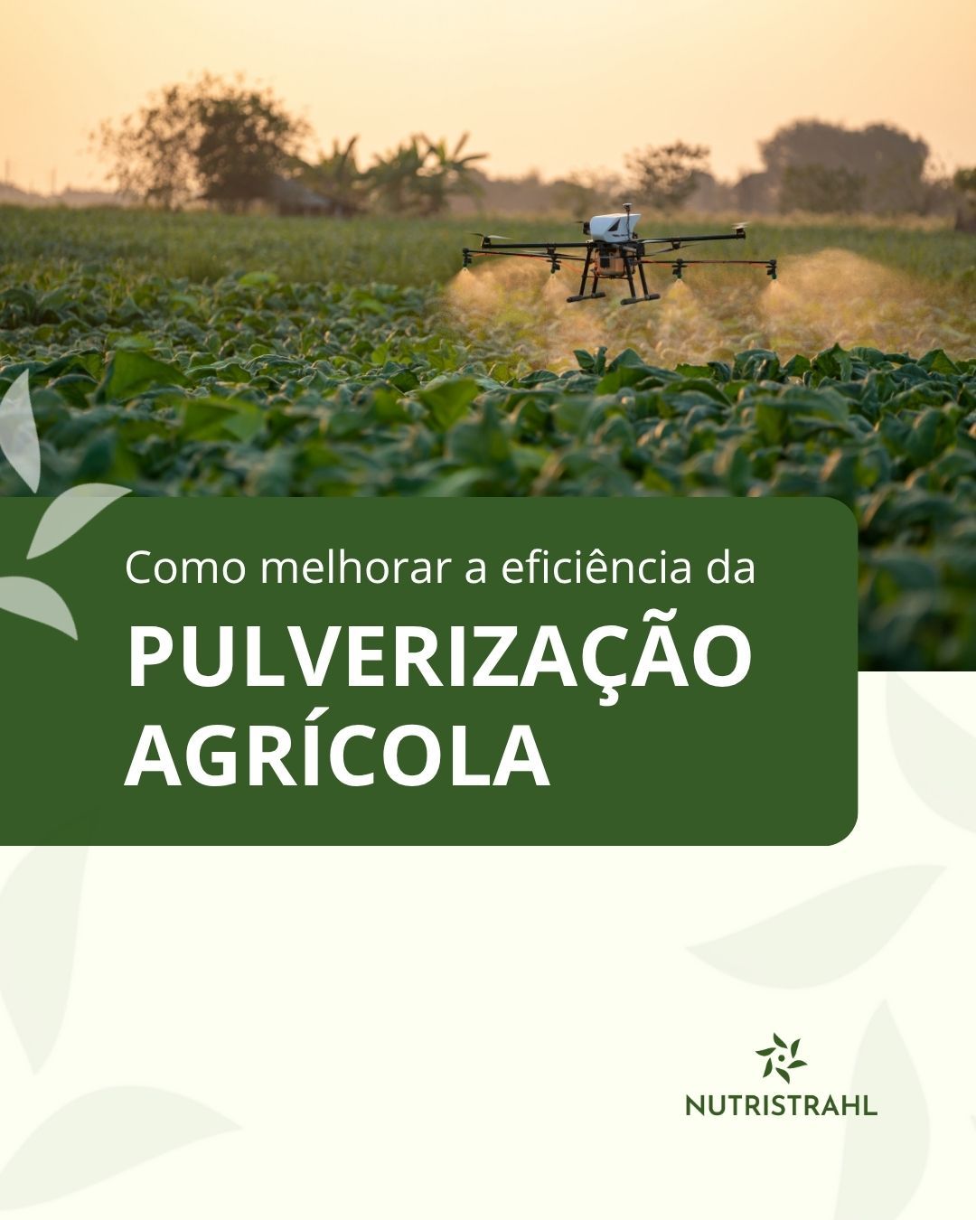 Pulverização Agrícola
