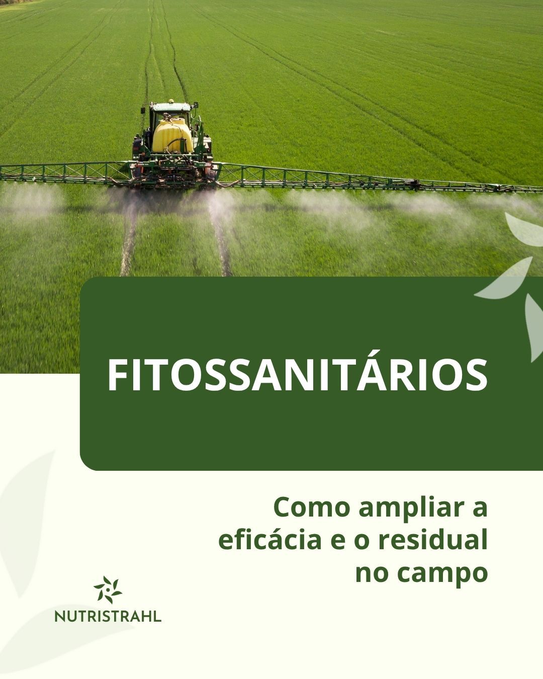 Fitossanitários